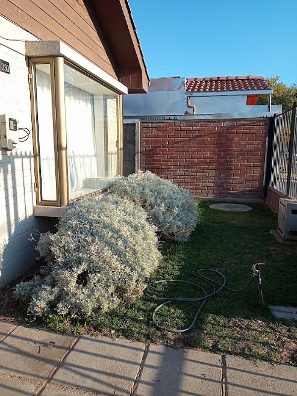 OFERTA ARRIENDO CASA 1 PISO